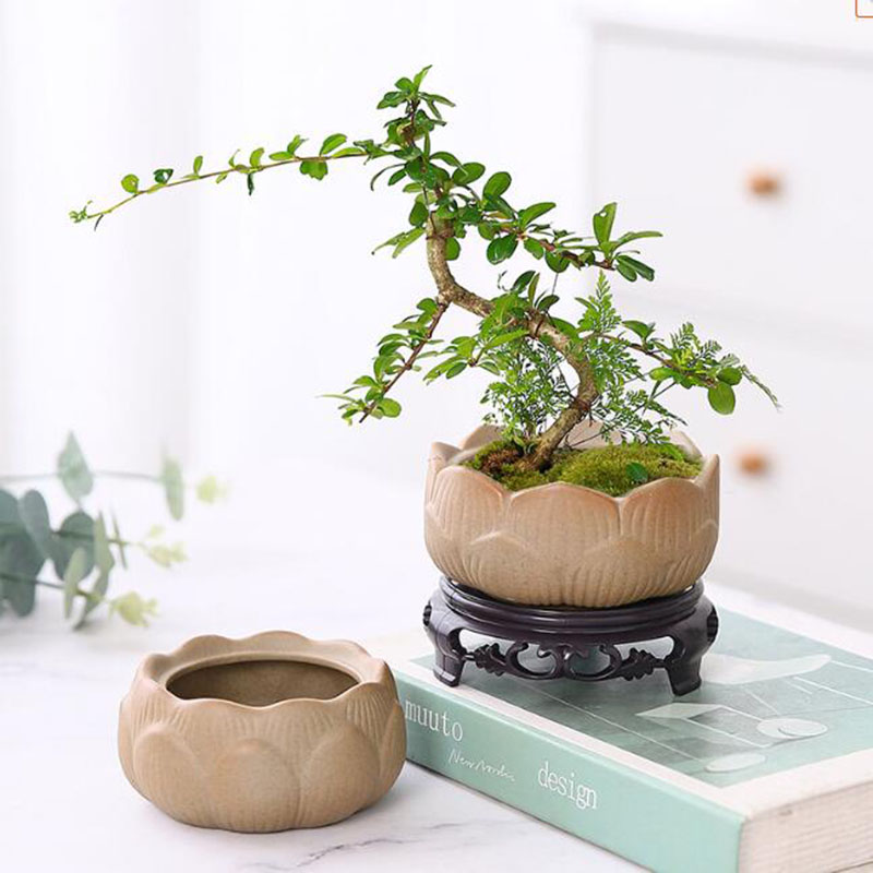Bonsai Garden Art - Coarse Pottery Lotus Green Plant Pot