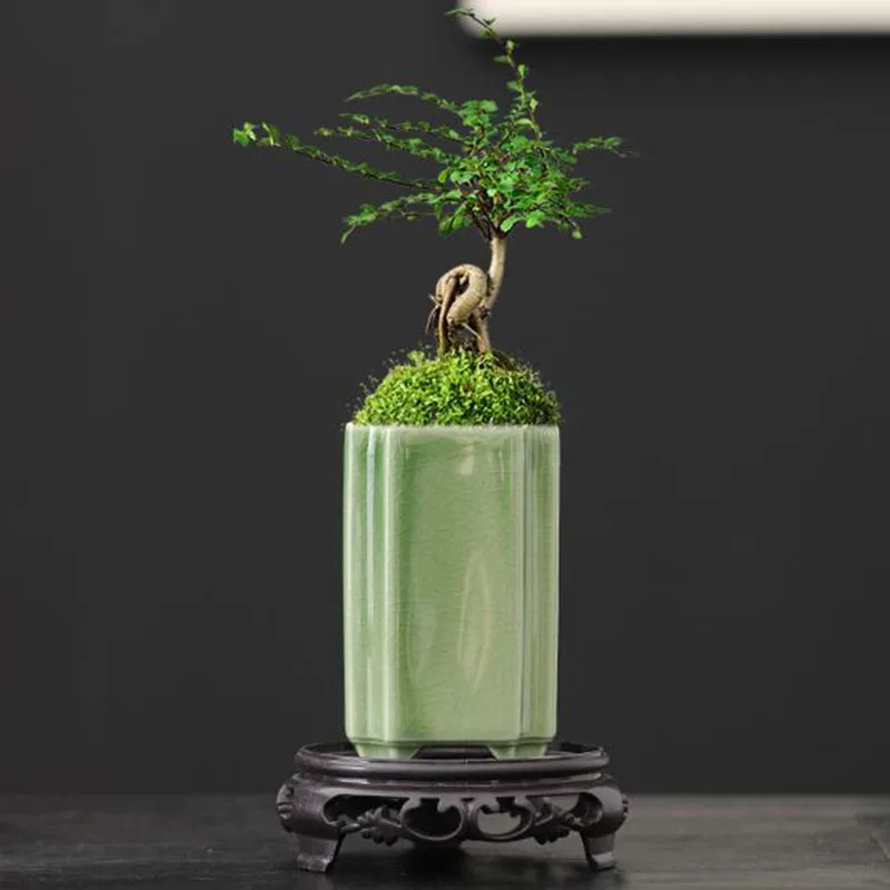 Bonsai Garden Art - Porcelain Square Celadon Glazed Orchid Flowerpot