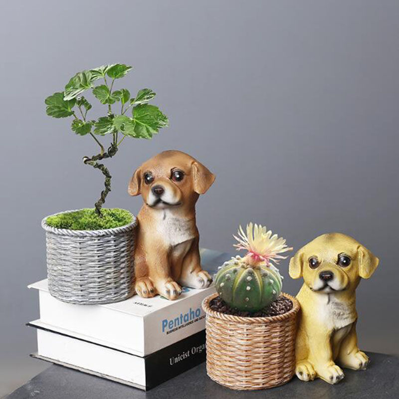Household Living Room Office R - Bonsai Garden Art 评论和价格