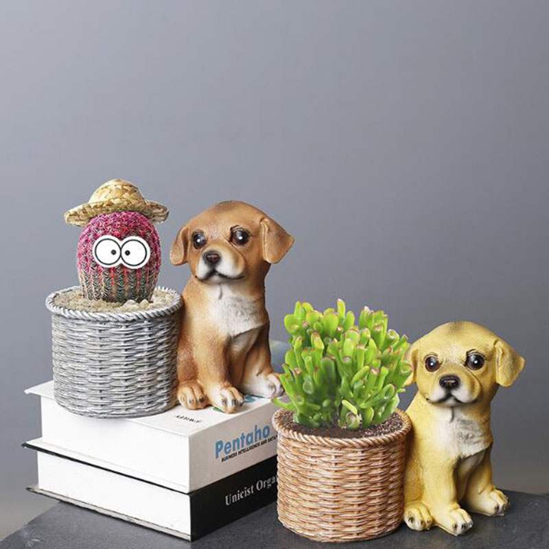 Household Living Room Office R - Bonsai Garden Art 评论和价格