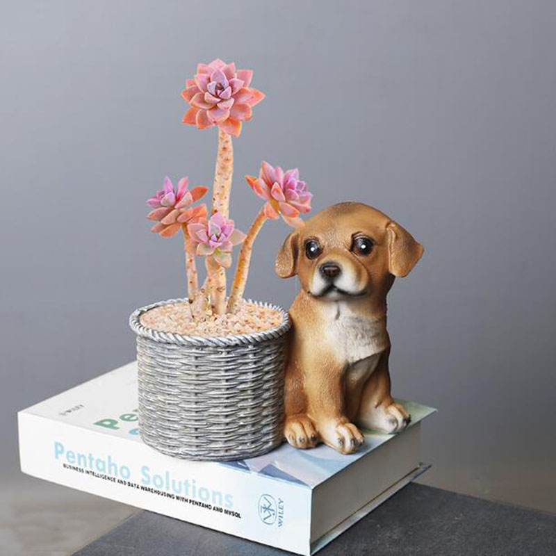 Household Living Room Office R - Bonsai Garden Art 评论和价格