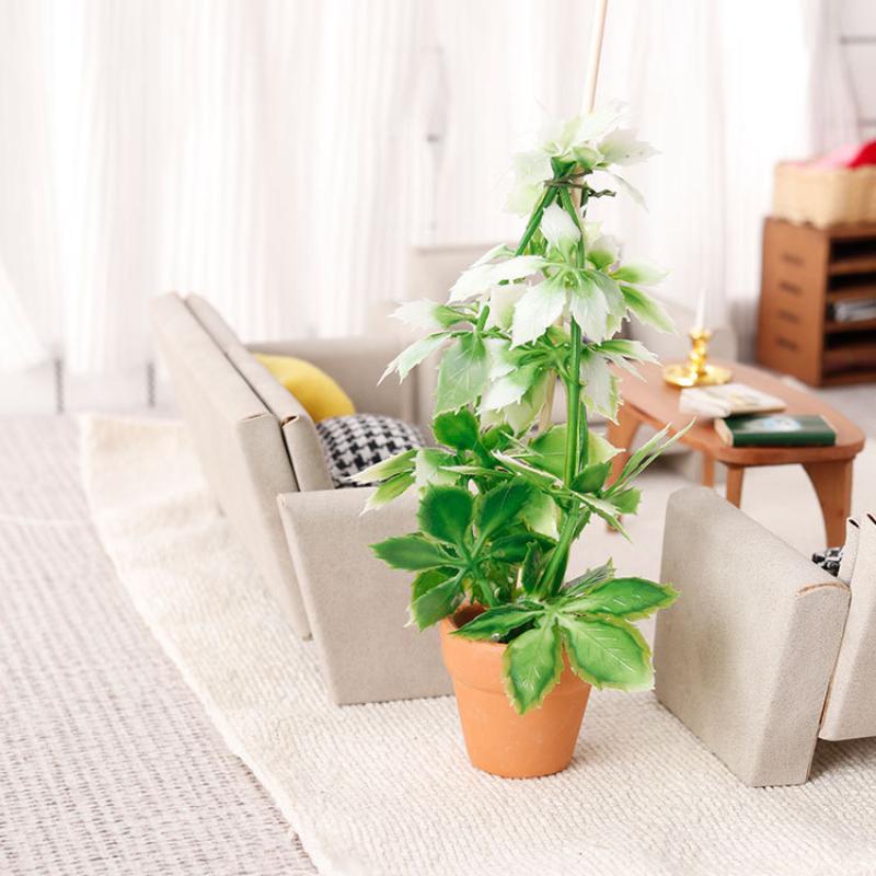 1/12 Dollhouse Simulation Gree - Bonsai Garden Decor 评论和价格