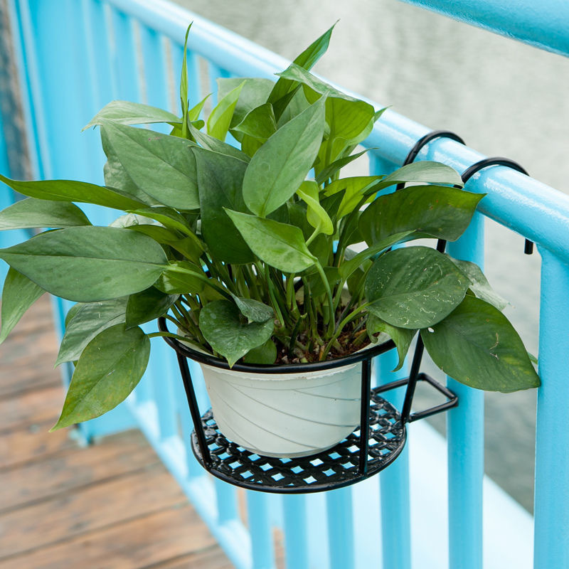 1PC Gardening Pots Outdoor Win - Bonsai Garden Art 评论和价格