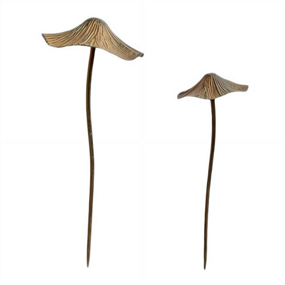 Retro Metal Rusty Mushroom Gar - Bonsai Garden Decor 评论和价格
