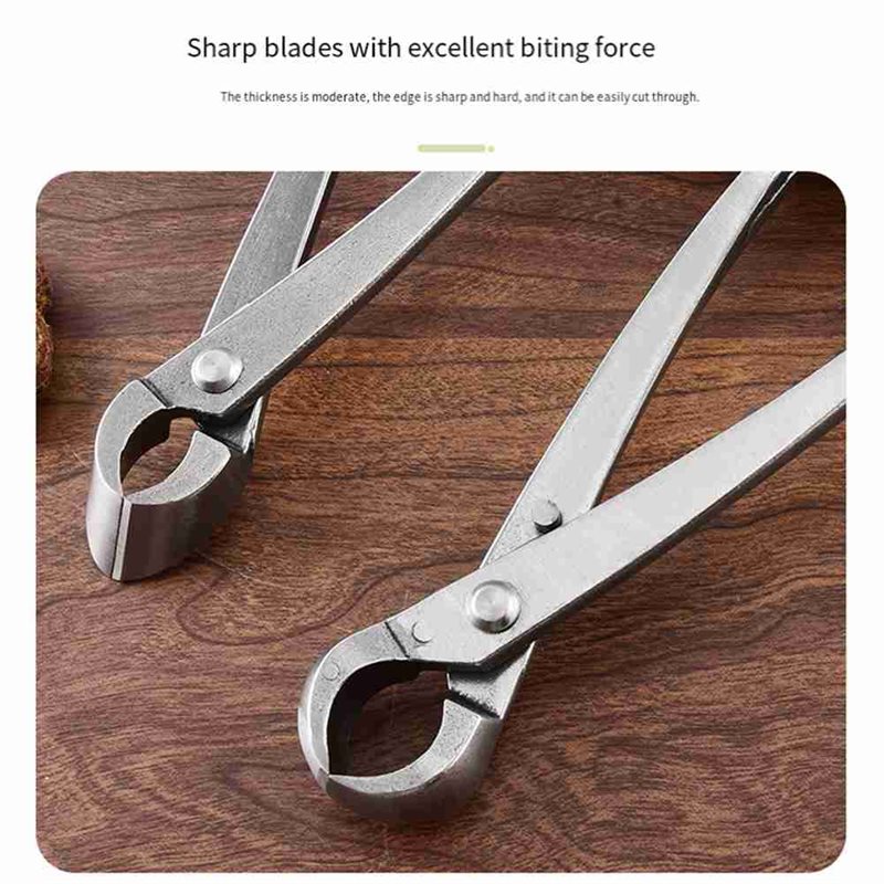 ABAE-Bonsai Tree Tools, 4 Piec - Root Hook Tool 评论和价格