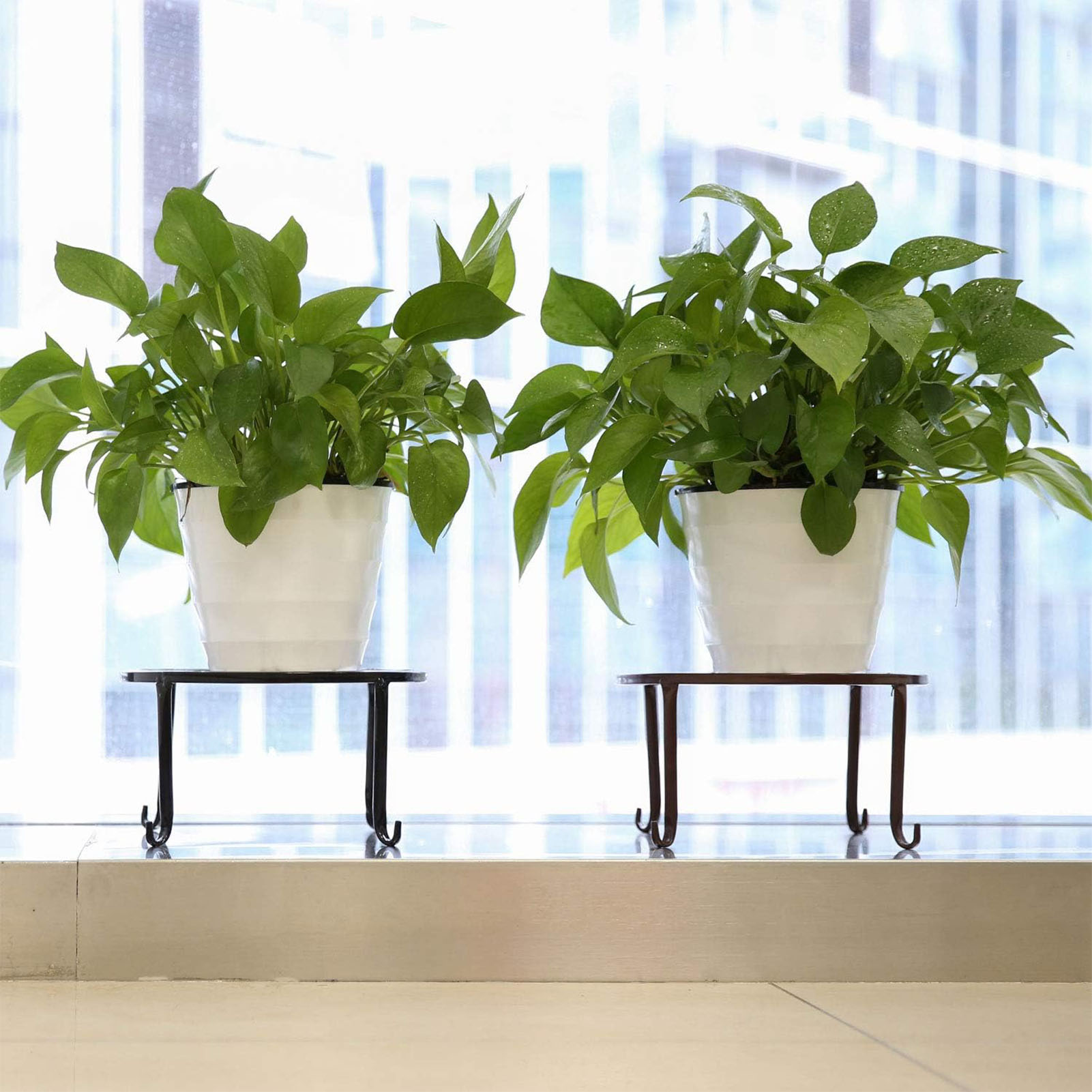 1Pc Metal Plant Stand Flower P - Bonsai Garden Display Stands 评论和价格