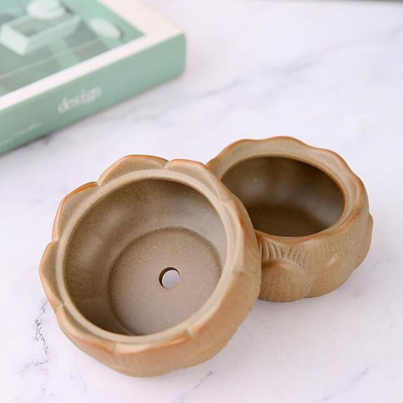 Coarse Pottery Lotus Green Pla - Bonsai Garden Art 评论和价格