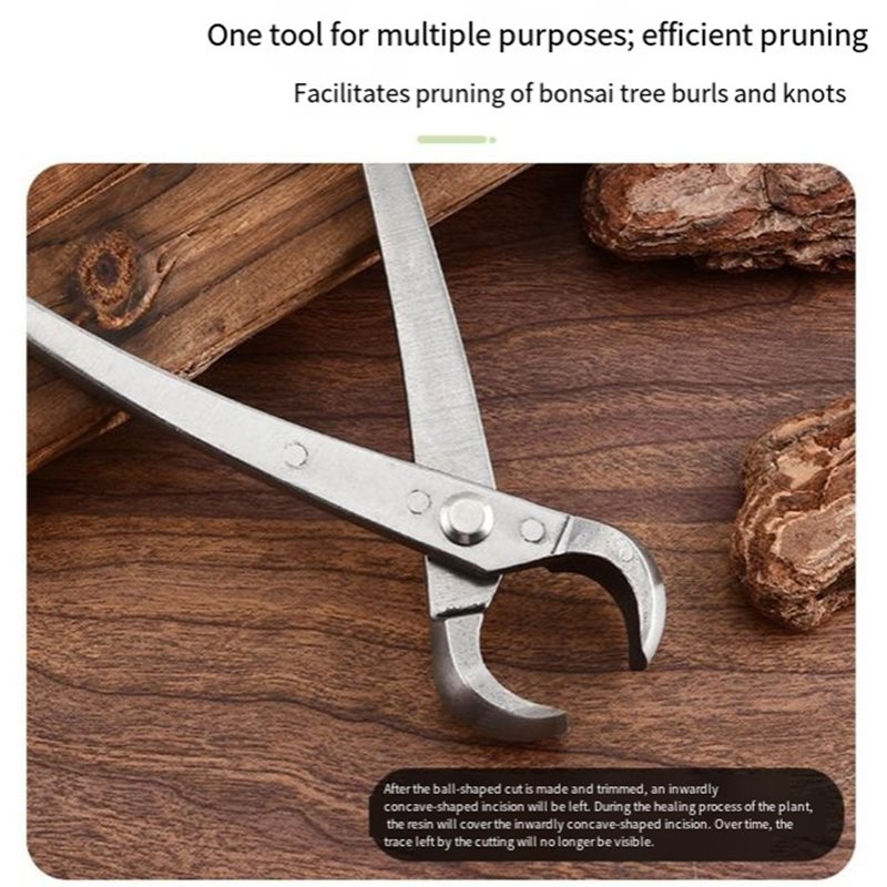 ABGH-Bonsai Tree Tools, 4 Piec - Root Hook Tool 评论和价格