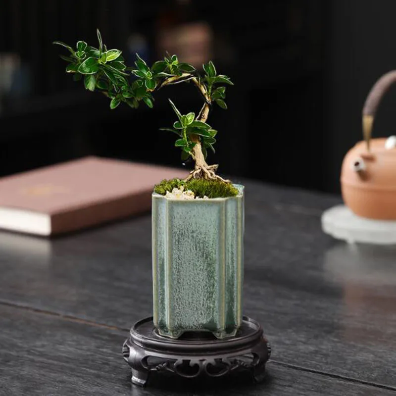 Porcelain Square Celadon Glaze - Bonsai Garden Art 评论和价格