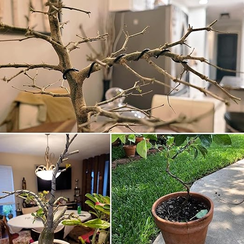 1mm Black Aluminum Bonsai Wire - Bonsai Garden Art 评论和价格