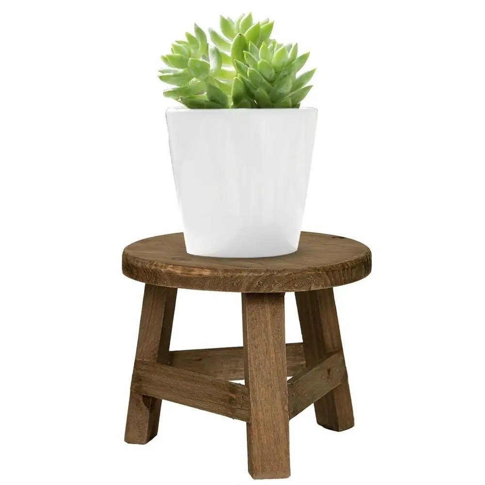 Modern Bonsai Rack Wooden Mini - Bonsai Garden Display Stands 评论和价格